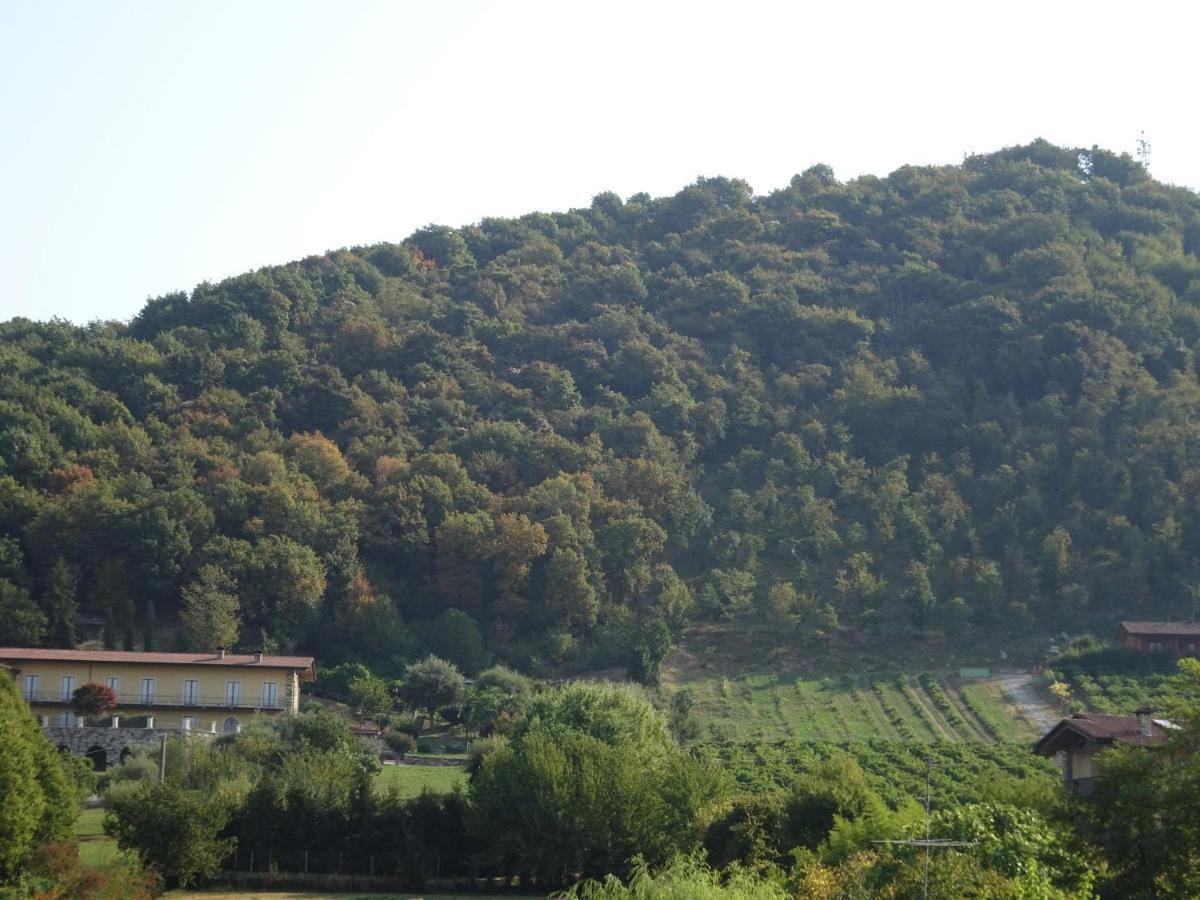 Casaro Apartment Albano Sant'alessandro Exterior photo